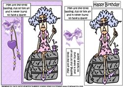 Stella Says Men Are Like Tyres Quick Card