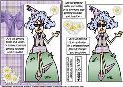 Stella's Getting Older and Wiser Quick Card