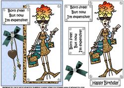 Rita's Expensive Quick Card
