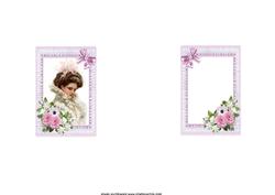 Harrison Fisher Beauty Insert