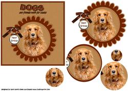 The Golden Retriever