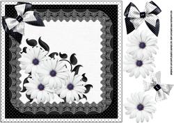 8x8 Simply Black and White