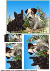 The Westie's Vintage Portrait Pyramid