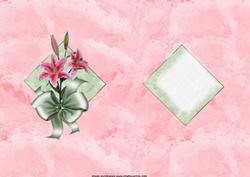 The Pink Tiger Lilies Insert