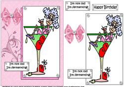 Stella's Fermenting Quick Card