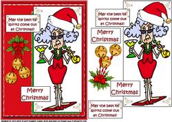 Stella is in the Christmas Spirit Quick Card