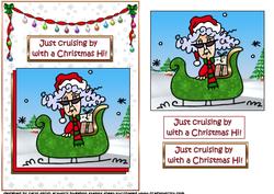 Stella Has a Christmas Hi Quick Card