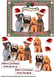 Christmas Puppies