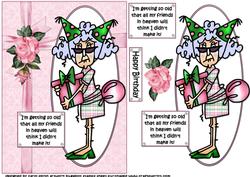 Stella's Getting Old Quick Card