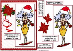 Can Stella Say No to a Glass of Wine Quick Card