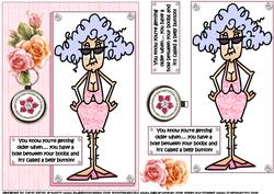Stella Must Be Getting Older Quick Card
