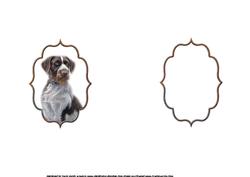 Hound Dog Birthday Wishes Insert