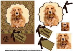 Golden Retriever Birthday Wishes