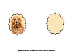 Golden Retriever Birthday Wishes Insert