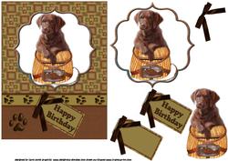 Chocolate Lab Puppy Birthday Wishes