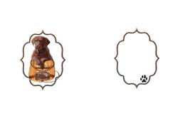 Chocolate Lab Puppy Birthday Wishes Insert