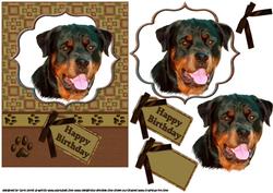 Rottweiler Doggy Birthday Wishes