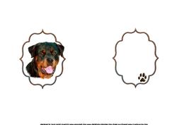 Rottweiler Doggy Birthday Wishes Insert