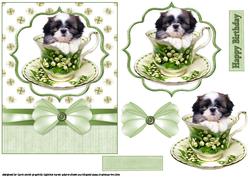 The Shih Tzu is My Cup of Tea