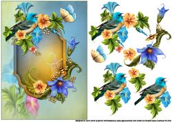 The Winged Friends and Suculent Flowers