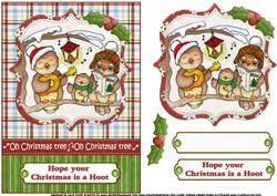 Hope Your Christmas is a Hoot Quick Card
