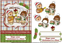 Hope Your Chistmas is a Hoot