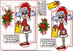 Stella and Her Christmas Miracle Quick Card