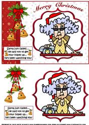 Santa Just Called Stella Quick Card