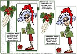 Stella Christmas Wishes Special Person Quick Card