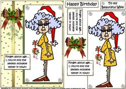 Stella Has a Christmas Birthday Quick Card