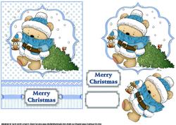 Ted's Guiding Light Blue Quick Card