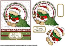 Teds Guiding Light Red Quick Card