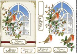 Christmas Robin Looking Through the Window