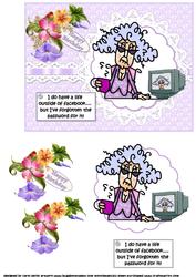 Stella Has Forgotten Her Password Quick Card