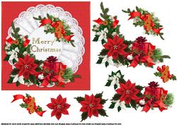 Christmas Flowers and Gift Red