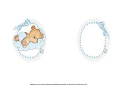 Beary Sweet New Baby Boy Insert