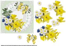 Beautiful Daffodils
