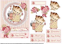 Sweet Kitty