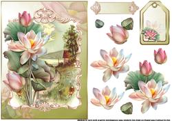 Love of Lotus at Sunset Cottage Green Background