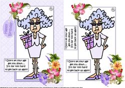 Stella Don't Let Your Age Get You Down Quick Card