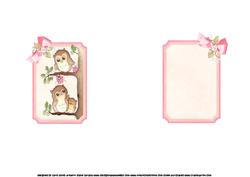 Sending Owl My Love Insert