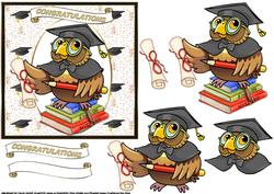 Graduation Owl