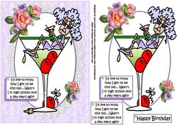Stella How Did I Get This Old Quick Card