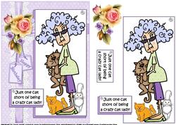 Stella a Crazy Cat Lady Quick Card