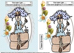 Stella the Older I Get Quick Card
