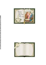 Open Book Christmas Topper Nativity Green Insert