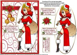 Merry Christmas from Mrs Claus Husband/partner Quick Card