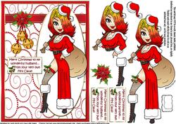 Merry Christmas from Mrs Claus Husband/partner