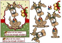 The Reindeer Wanabe