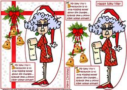 Stella and Her New Year's Resolution Quick Card